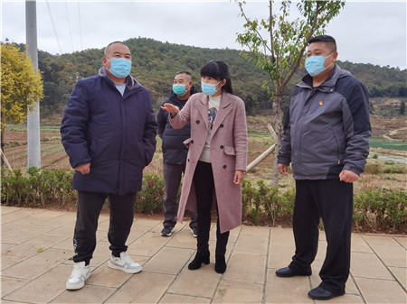 李海雁(中)在了解村庄发展情况。