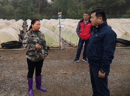 代表提出建议思路,并到实地进行调研_副本