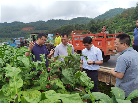 ���˴������������ͷʵ�ص��С�