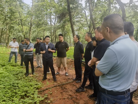 微信图片_20250723174037