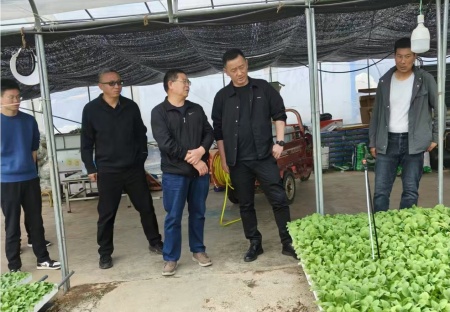 ͼƬ2